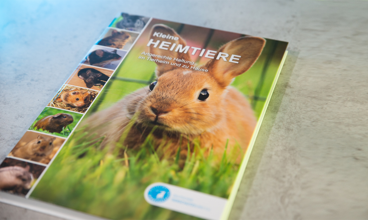 Sachbuch deutscher Tierschutzbund kleine Heimtiere