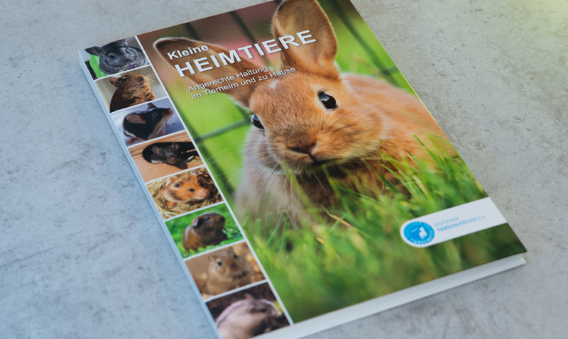 Sachbuch – Deutscher Tierschutzbund e. V.